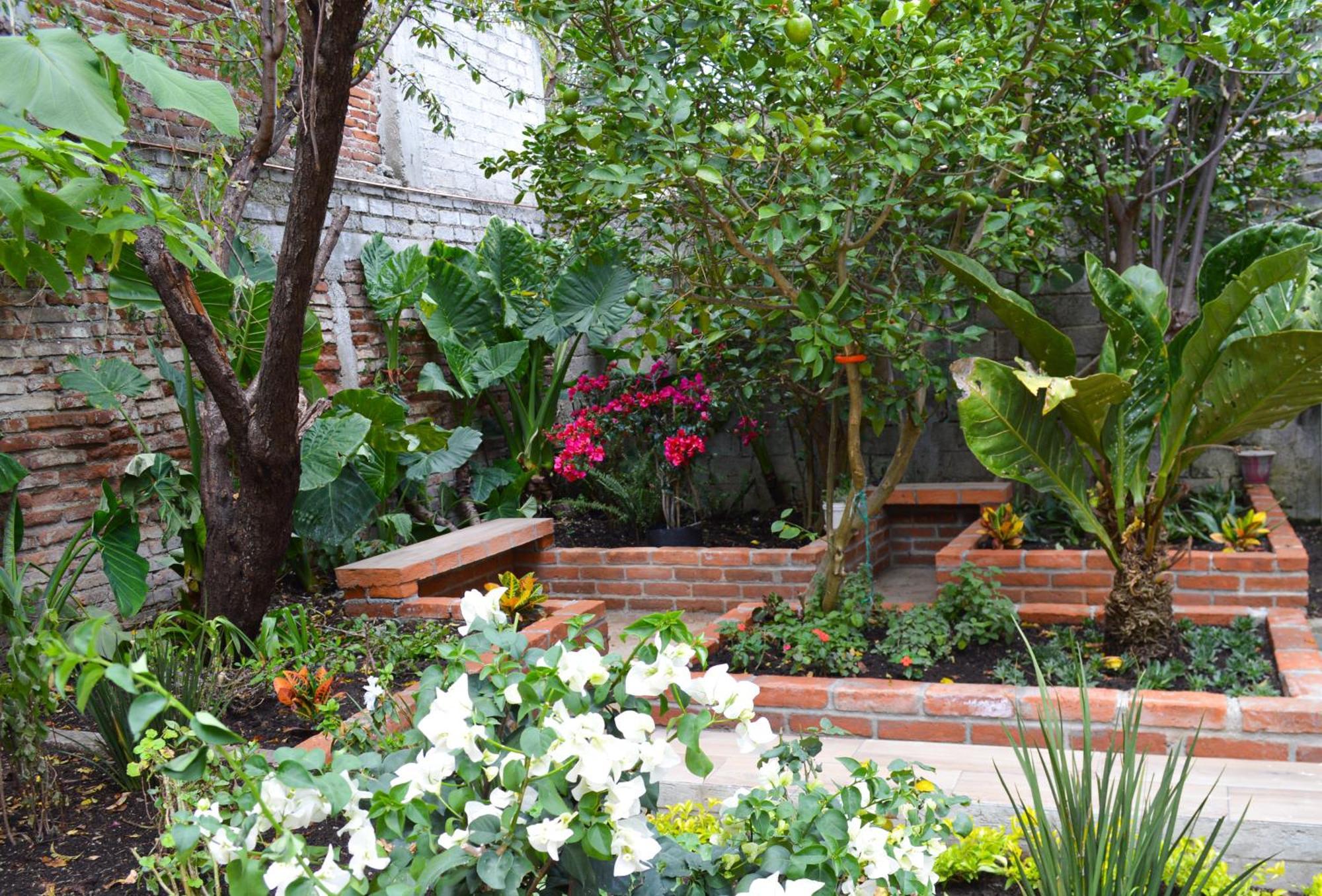 Hotel Capital O Casa Rotter à San Cristóbal de Las Casas Extérieur photo